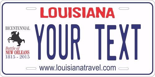 50 States Any Text Personalize Vehicle Car Auto OR Motorcycle License Plate Tag - Picture 22 of 87