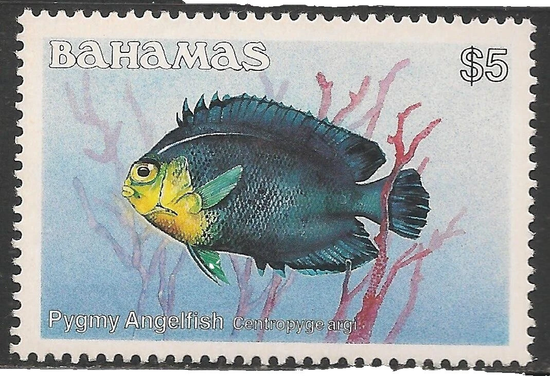 Fish Bahamian Stamps (1973-Now)