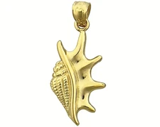 14K Gold Conch Gastropod Mollusk Shell Charm