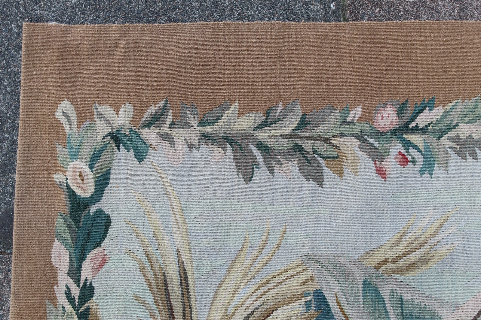 Picture 5 of 15