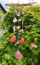 Sea Side decretive Shell/Drift Wood Hanger Wind Charm Gift