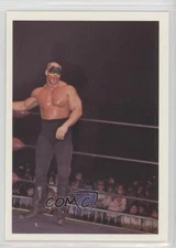 1988 Wonderama NWA Road Warriors Road Warrior Animal #301