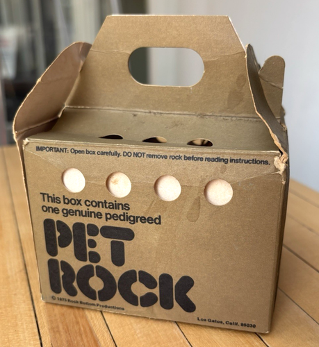 Vintage Original 1975 Pet Rock With Tote Box, Straw, Care & Training Booklet - 第 7/13 張圖片
