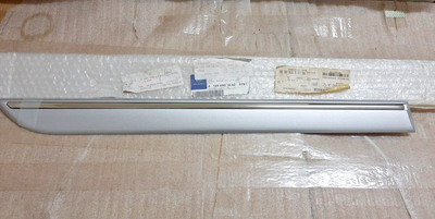 ORIGINAL MERCEDES BENZ A CLASS W169 Rear Right Door Molding Primed 