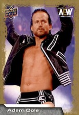 2022 Upper Deck AEW Gold #27 Adam Cole 