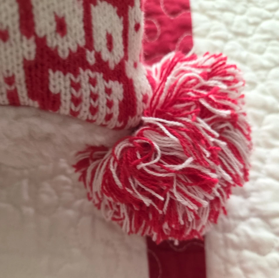 2 POTTERY BARN KIDS 针织猫头鹰鞋 EURO 红色 全新 SHERPA 反向 — 第 3/4 张图片