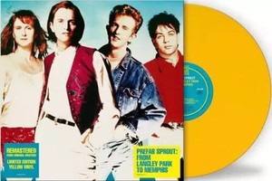 【1985年 USオリジナル/盤面美品】Prefab Sprout LP Prefab Sprout Vinyl | eBay