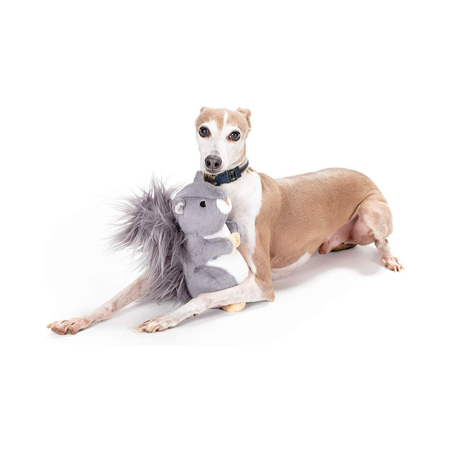 real squirrel tail dog toy