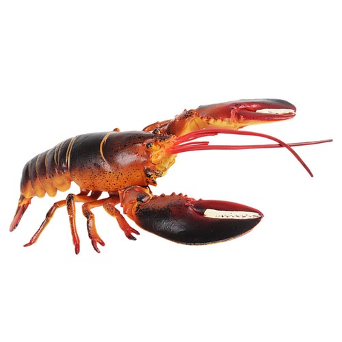 Modèle De Homard Enfant Jouet Figure Animale Simulation - Foto 9 di 12