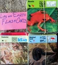 LIFE ON EARTH FLASH CARDS - Unknown number, unchecked