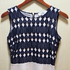 Belle Badgley Mischka Dress Womens 2 Blue Stripe Lace Fit & Flare Sleeveless