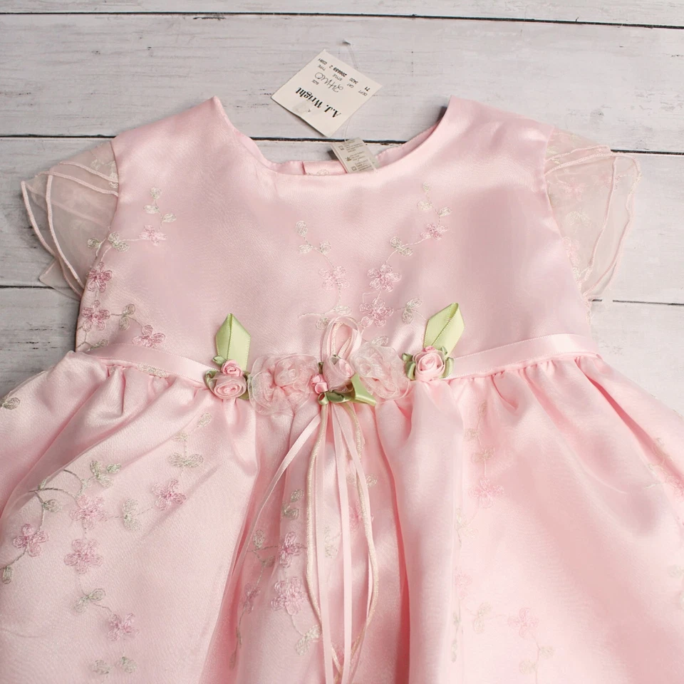 La Princess 复古女宝宝 Organdy 派对礼服尺寸 24 个月粉色玫瑰芽 — 第 3/4 张图片