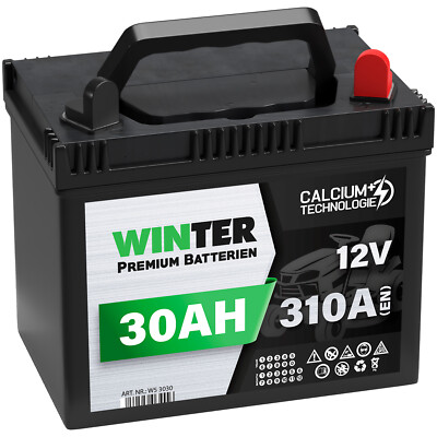 Rasentraktor Aufsitzmäher Batterie 30Ah Starterbatterie wartungsfrei +Pol Rechts