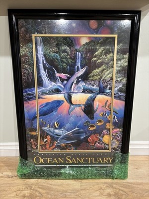 Framed Christian Lassen Ocean Sanctuary Art Print Clean Ocean