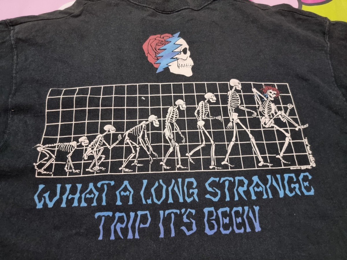 GRATEFUL DEAD WHAT A LONG ヴィンテージ rare GRATEFUL DEAD 90s Vintage T-shirt What A Long Strange