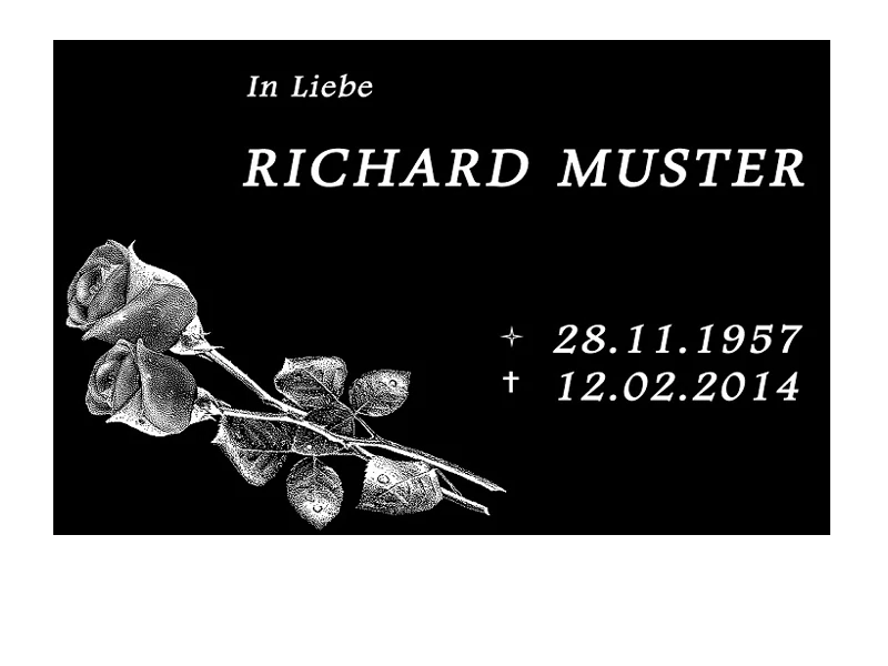Bild 5 von 12