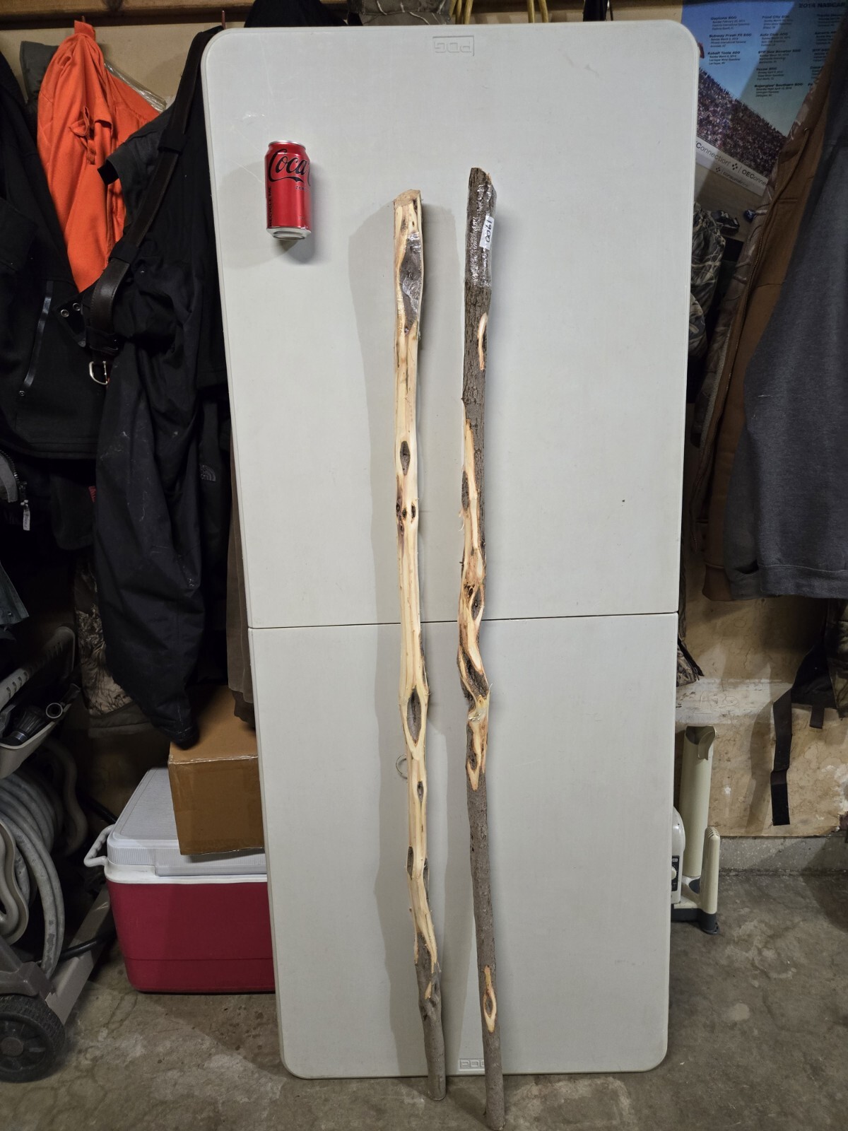 Set Of (2) 55" Diamond Willow Walking Stick Blanks 0061 0070 eBay