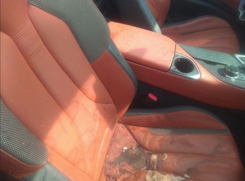 2014-2019 BMW I8 Front Left Driver Side Door Scuff Plate Panel