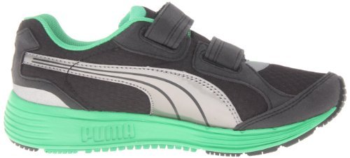 puma descendant