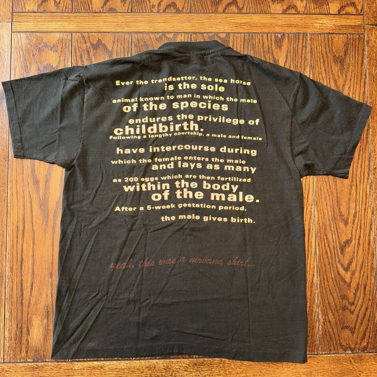 Vintage Nirvana Seahorse T Shirt XL Grunge Kurt Cobain Giant Vintage Nirvana Seahorse T Shirt XL Grunge Kurt Cobain Giant