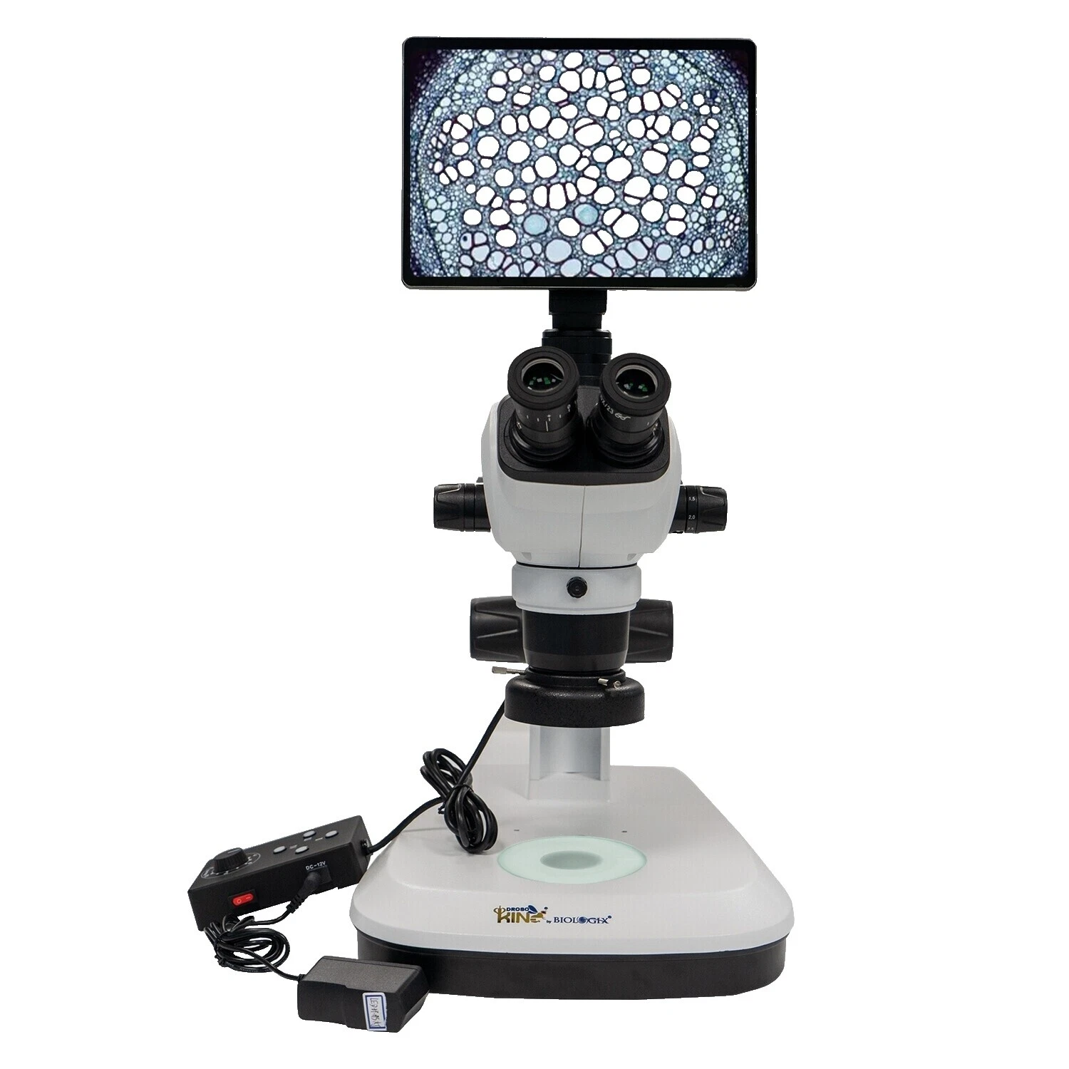 Upright Medical Microscopes