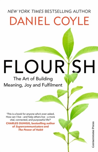 Flourish: The Art of Building Meaning, Joy and Fulfilment - Image 4