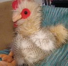 Fluffy Stuffed Chicken Hen From Red Shed Home & Gifts — photo 1