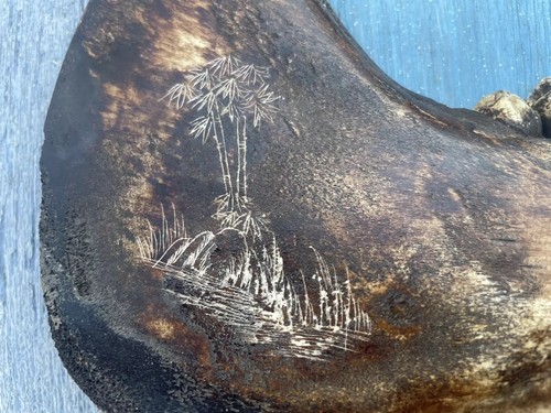 Engraved Erotic Scenes Jaw Bone Scrimshaw Possible Bison - Picture 5 of 11