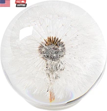 Dandelion Paperweight – Real Dandelion in Crystal Glass Ball, Unique Gift & Home