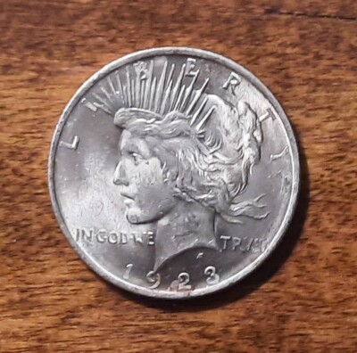 1923p  Peace Dollar * BU * Uncirculated Mint State !! (from original Bag)