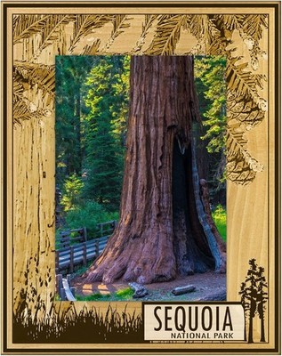 Sequoia National Park with Tree's Laser Engraved Wood Picture (4 x 6)