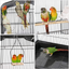 Yaheetech Bird Cage 64-inch Open Top Standing Medium Small Parrot Parakeet 100% nieuw
