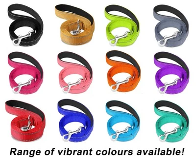 LARRYROO Reflective Nylon Neoprene Dog Lead Leash Padded Handle Range of Vibrant Colours