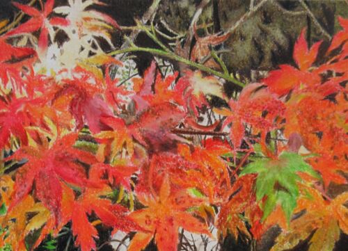 Fall Leaves, Japanese Maple Tree Leaf, Colored Pencil Drawing By N.E.Thompson - Picture 1 of 3