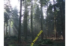 Photo A2 Redlands Wood Mid Holmwood  c2007