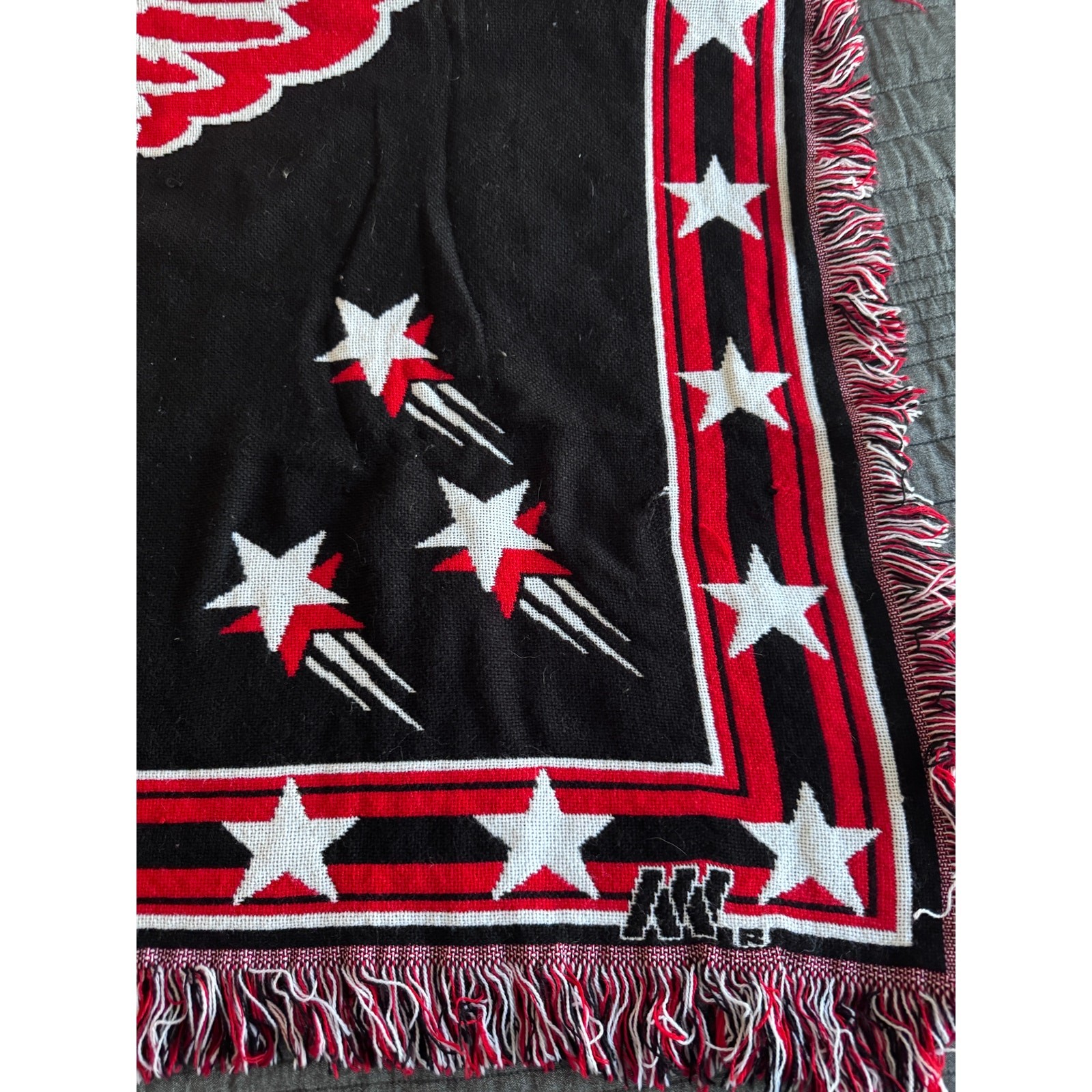 The Northwest Company NHL Detroit Redwings Black Heavy Acrylic Blanket 6' x 4'