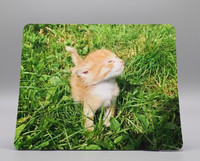 Personalised Customised Picture Computer Mouse Mat Mouse Pad Rubber Gift 23x19