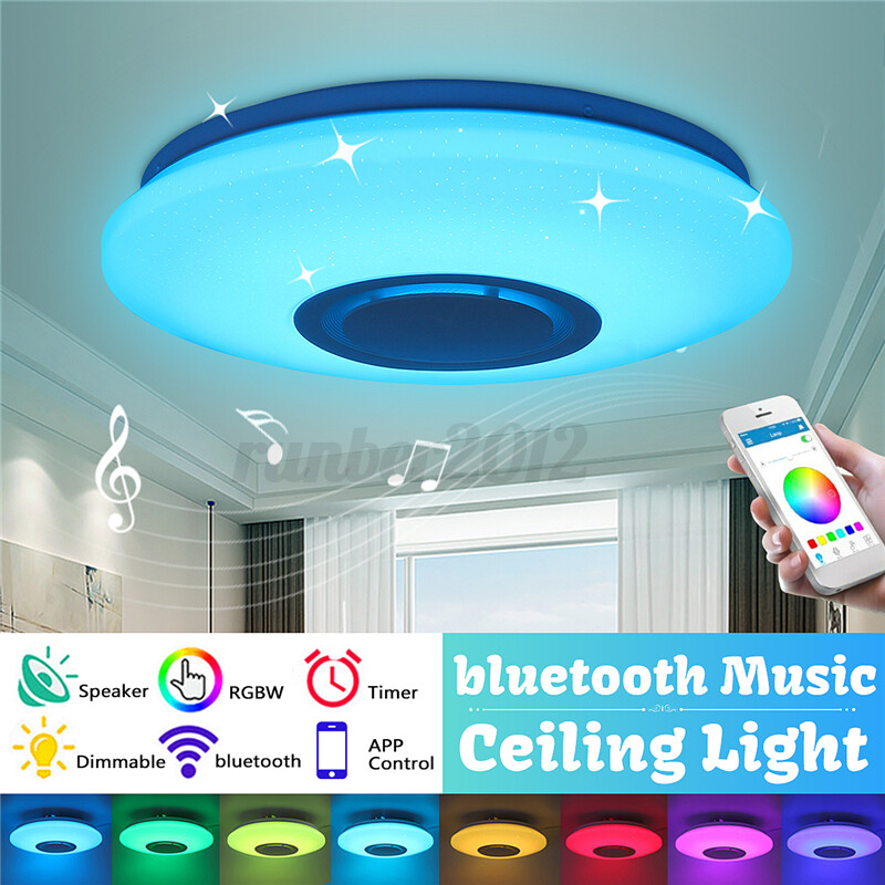alexa ceiling light