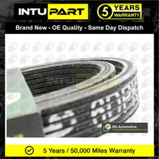 Fits Audi TT Ford Galaxy VW Golf Transporter Beetle IntuPart V Ribbed Drive Belt