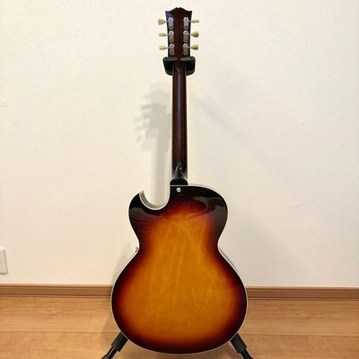Archtop Tribute AT105 / Late '50s Burst | eBay