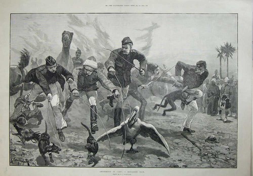 Original Old Antique Print Amusements Camp Menagerie Race 1885 Siers Sport Art