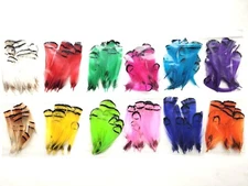 LADY AMHERST - Pheasant Tippet Feathers - FLY TYING MATERIALS - 12 COLORS - NEW!