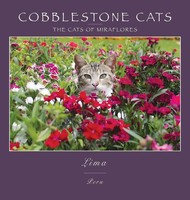 Alan Panattoni | Cobblestone Cats - Lima | Buch | Englisch (2018) | Gebunden