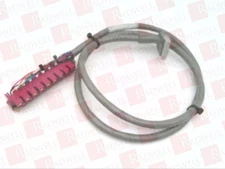 ALLEN BRADLEY 1492-CABLE10C / 1492CABLE10C (USED)