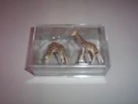 Preiser 20385 Giraffen FüR H0, Zoo Und Circustiere