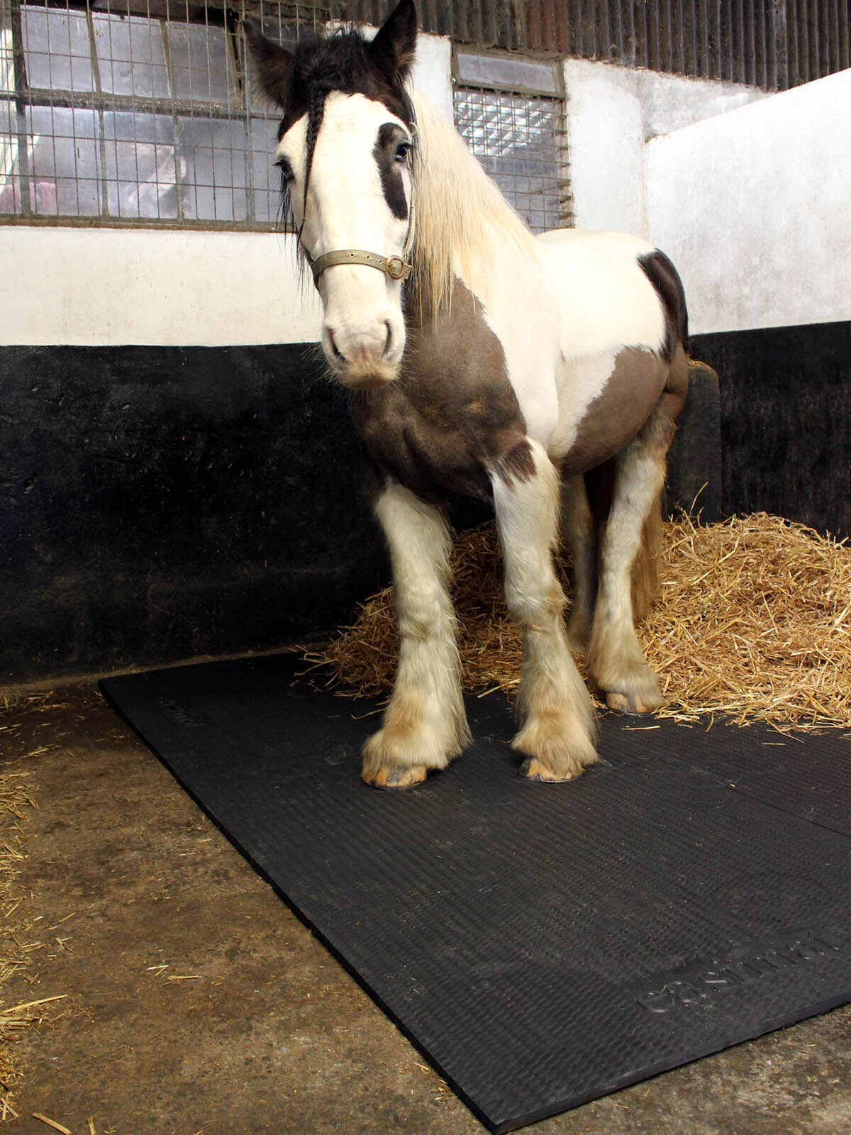 Horse Stable Floor Mats EVA 6ft x 4ft Cushioned Equine Matting Flooring