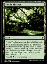 2015 Battle for Zendikar Fertile Thicket Expansion/Common #237