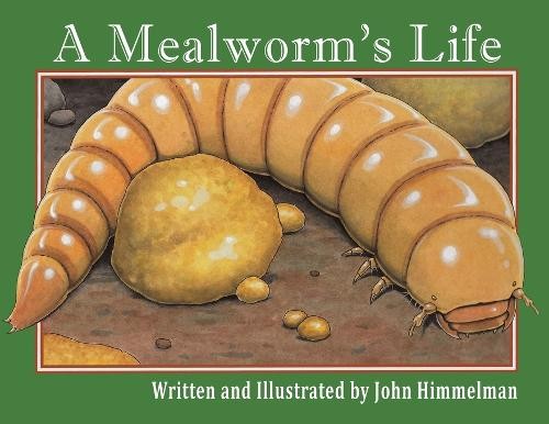 A Mealworm's Life - 9781956381160