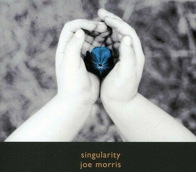Singularity CD Joe Morris