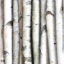 2.5-3.5 In. Width 8 Ft. Height Decorative White Birch Pole (Set of 2)